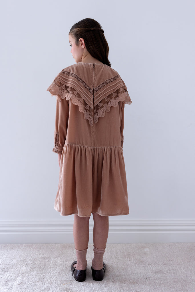 PETITE AMALIE FALL 2026 Lace Collar Velvet Smock Dress