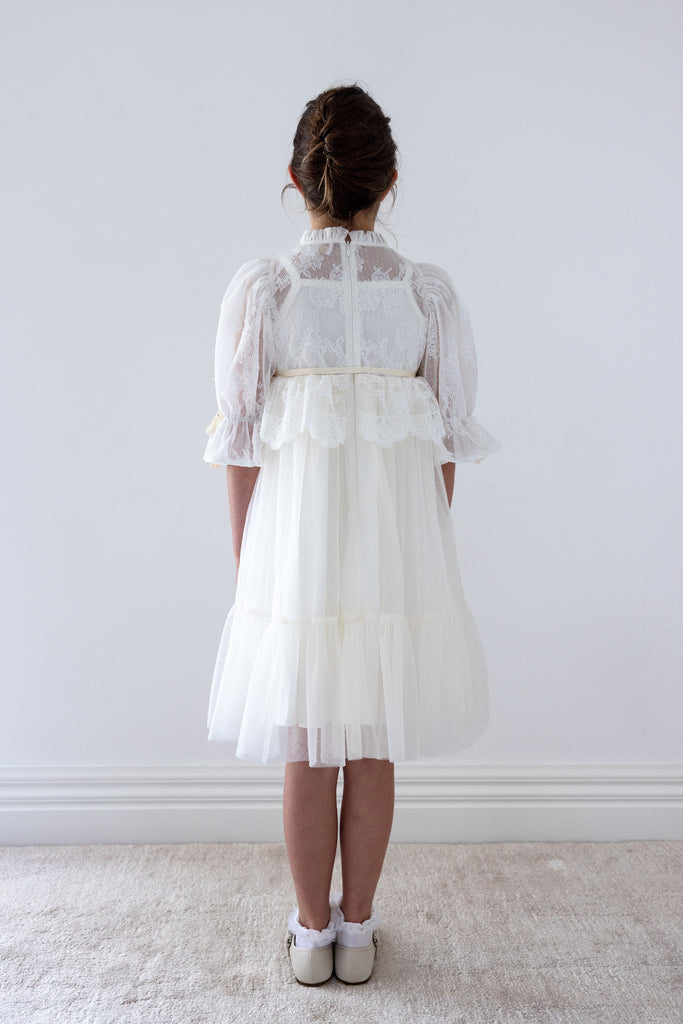 PETITE AMALIE FALL 2026 Lace Peplum Tulle Dress