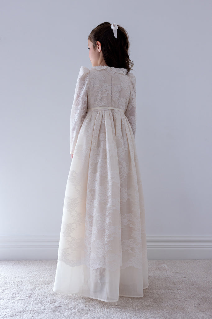 PETITE AMALIE FALL 2026 Lace Overlay Organza Gown