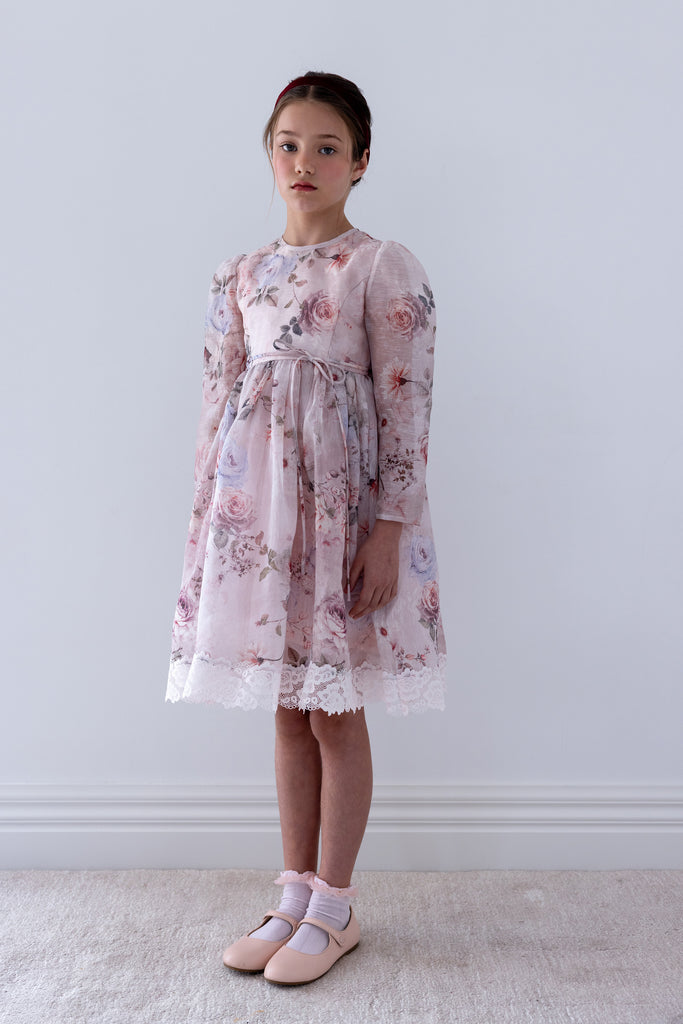 PETITE AMALIE FALL 2026 Fantasy Print Silk Linen Dress