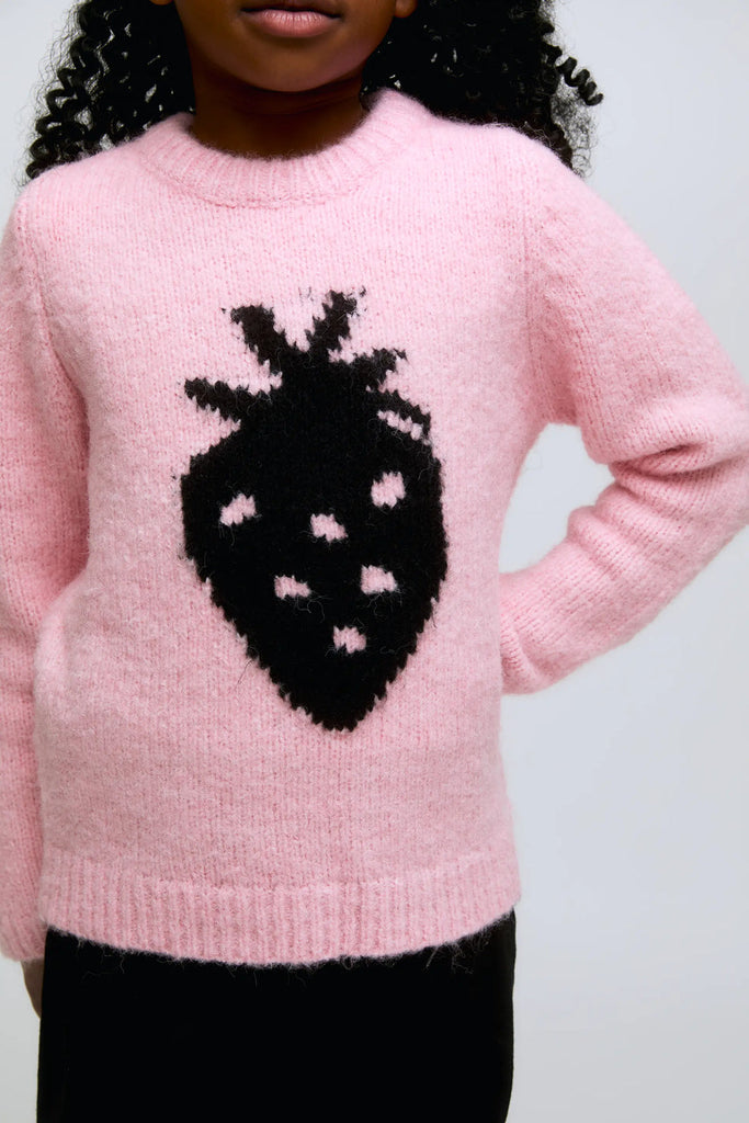 COMPANIA FANTASTICA Strawberry Knit Jumper Sweater