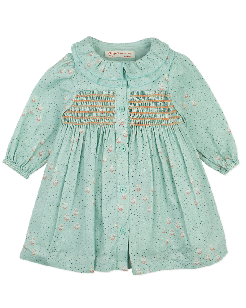 GINGERSNAPS FW25 BABY TILDA LONG SLEEVES MINT GROVE DRESS