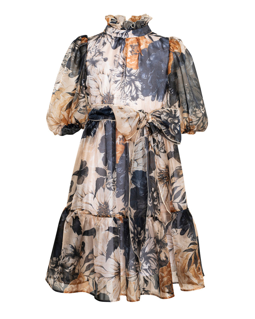 PAADE MODE "WINTER MEADOW" Chiffon Maxi Laura Dress in Grey Multicolor