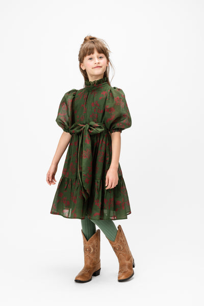 paade mode green dress CHIFFON DALE DRESS(2-6Y) 6Y / NoCocktail