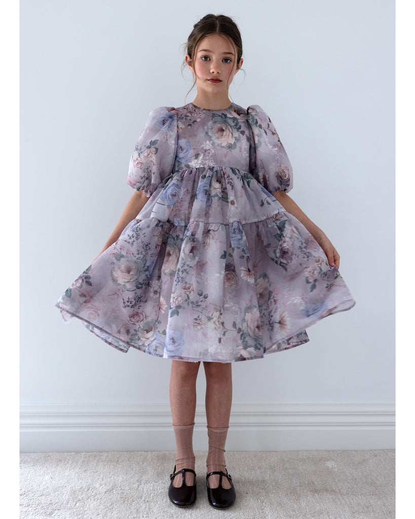 PETITE AMALIE FALL 2026 Fantasy Printed Organza Dress