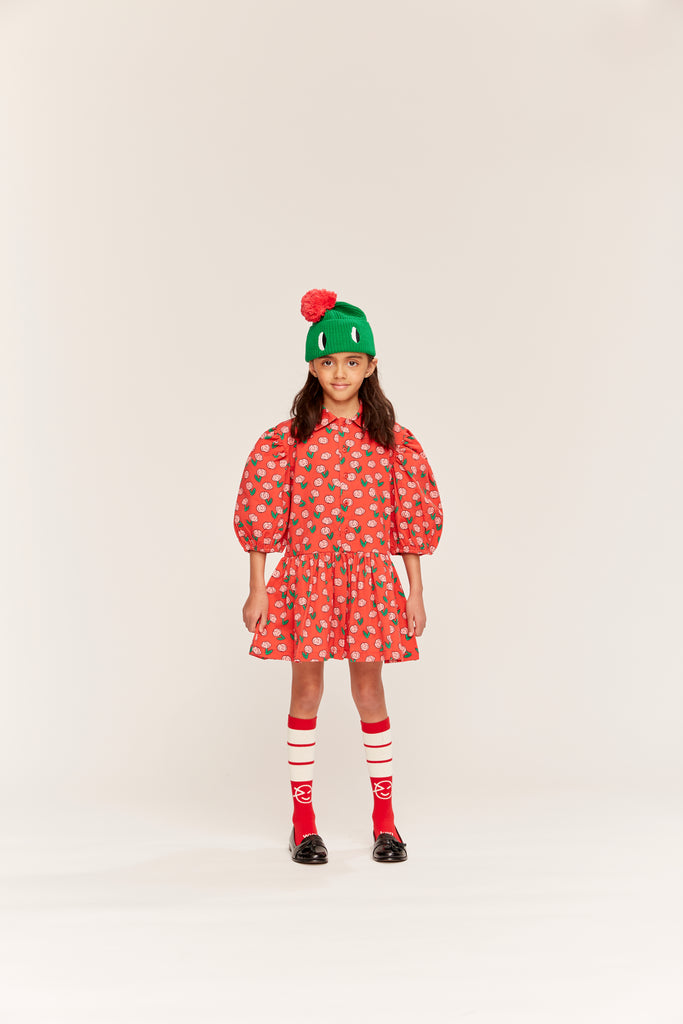 WYNKEN FW25 BEAU COLLAR DRESS in Dancing Dahlia