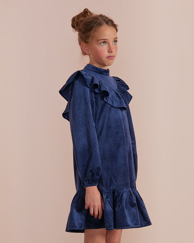 PETITE AMALIE "Wonderland" Rose Printed Organza Ruffle Collar Dress