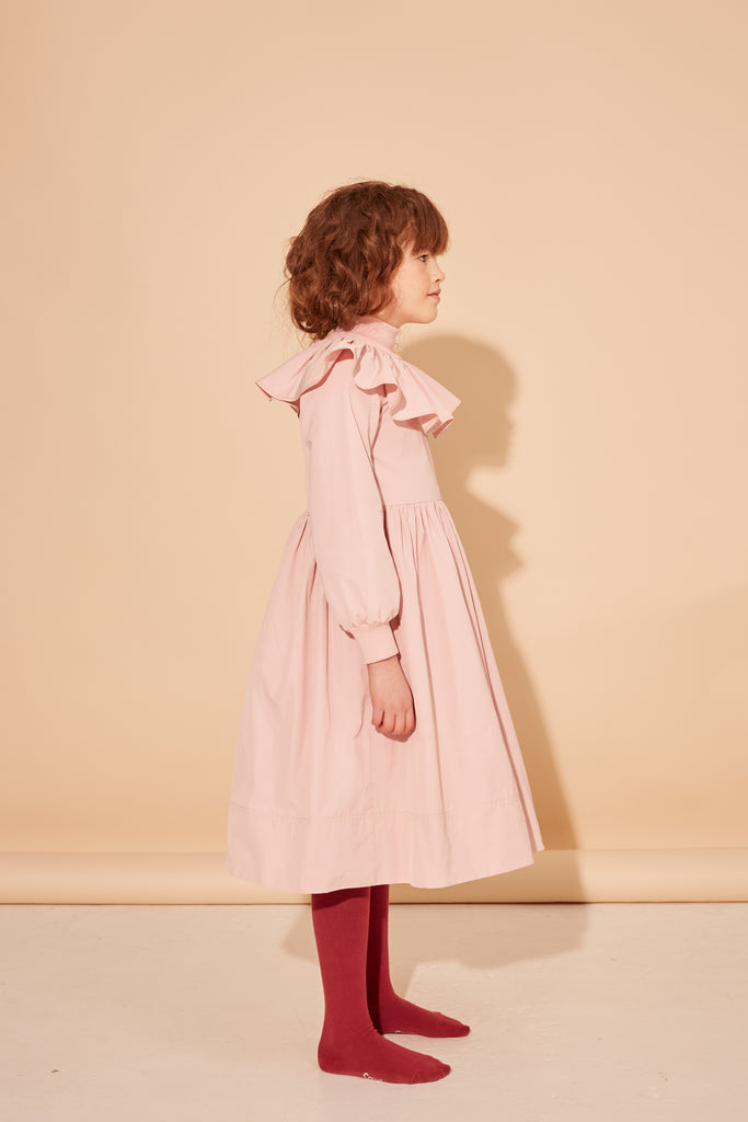 THE MIDDLE DAUGHTER FW25 COINCIDENTAL DRESS in ROSE OTTO