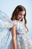 ELIE SAAB FALL 2026 Organza Flower Print Maxi Gown Dress