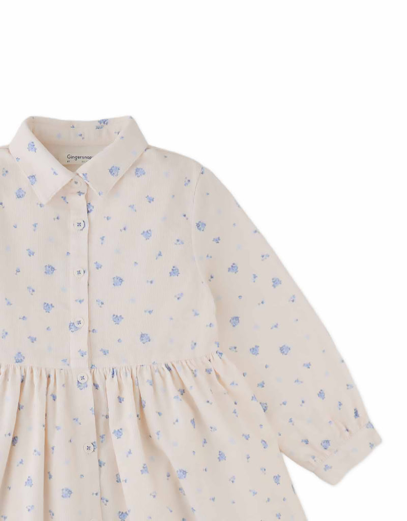 GINGERSNAPS FALL 2026 CORNELIA CORDUROY SHIRT DRESS WITH FLORAL PRINT