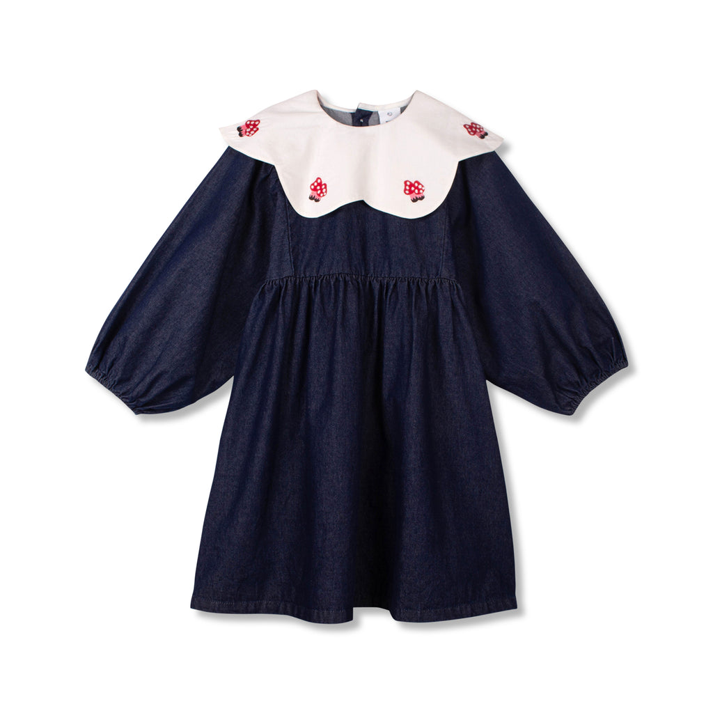 WYNKEN FALL 2026  "PAINTERS AND POETS" Cuelo Dress in Denim