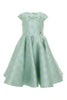 ELIE SAAB FALL 2026 Jacquard Logo Dress in Light Green